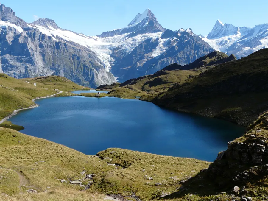 Der Bachalpsee mit dem Schreckhorn